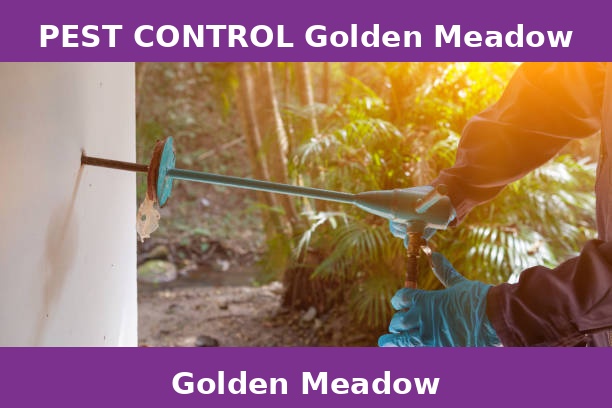 PEST CONTROL Golden Meadow